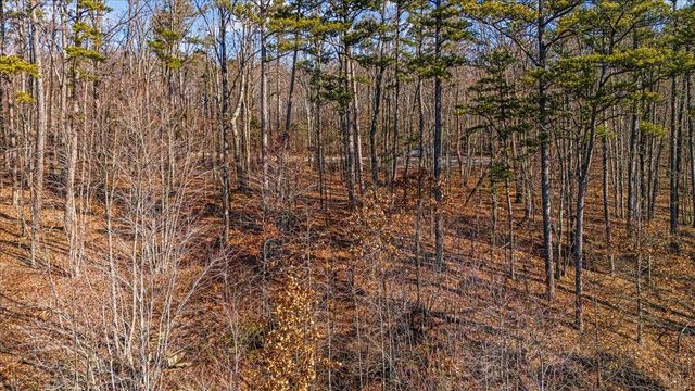 0 Old Harris Turnpike Road, South Pittsburg, TN 37380