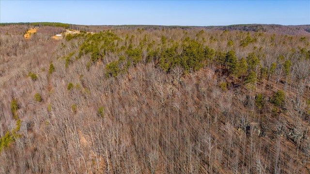 0 Old Harris Turnpike Road, South Pittsburg, TN 37380