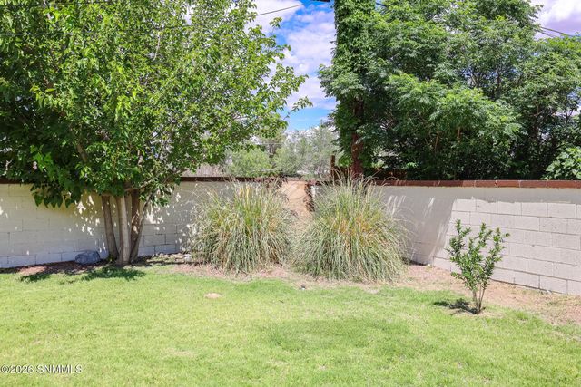 3309 East Street, Las Cruces, NM 88005