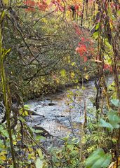 Lot 62 & Creek Lot A, Stone Ridge Falls, Murphy, NC 28906