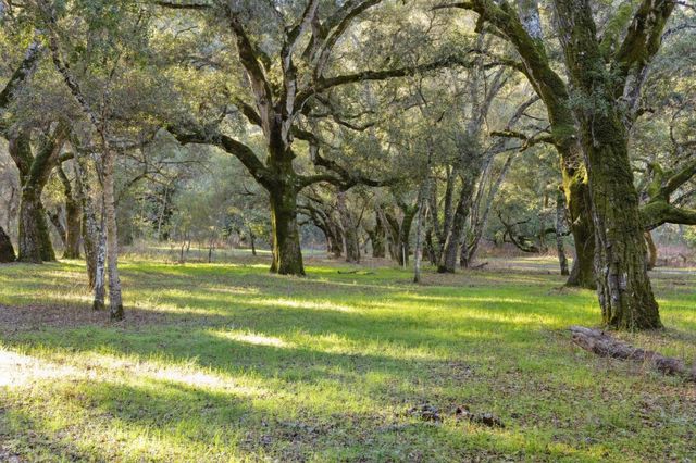 11 Arroyo Sequoia, Carmel Valley, CA 93923