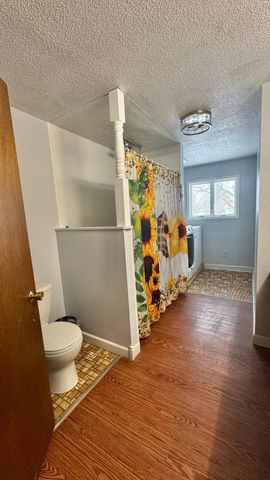 788 4th Street, Audubon, MN 56511