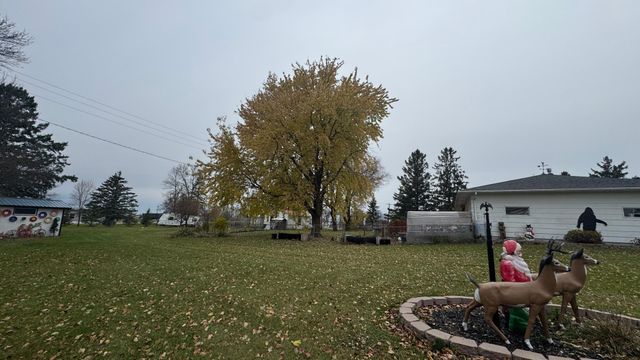 788 4th Street, Audubon, MN 56511