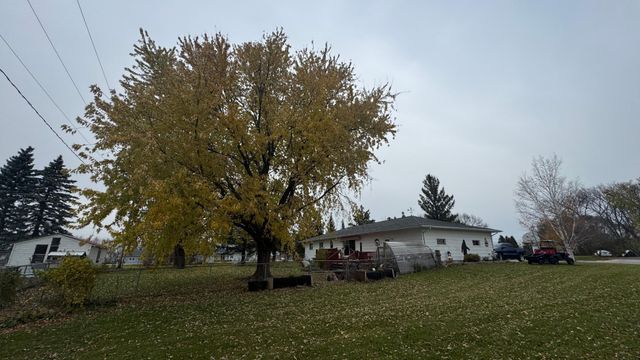 788 4th Street, Audubon, MN 56511