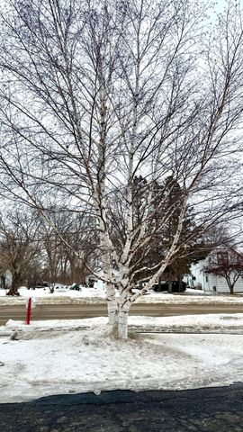 788 4th Street, Audubon, MN 56511