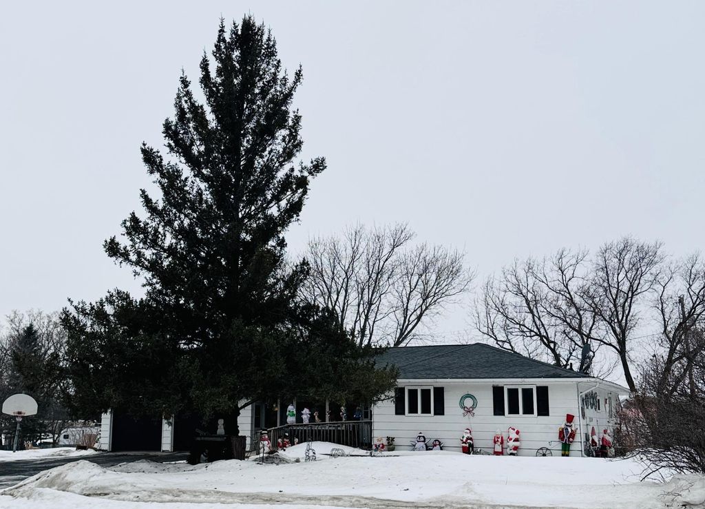 788 4th Street, Audubon, MN 56511