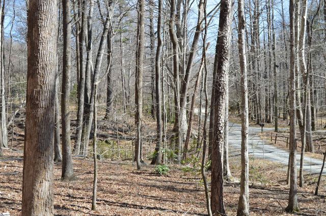 00 Shadow Creek Lane, Columbus, SC 28722