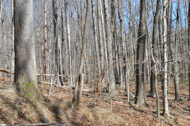 00 Shadow Creek Lane, Columbus, SC 28722