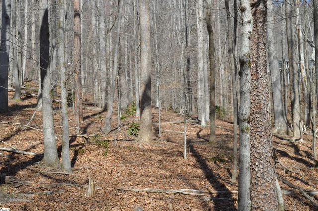 00 Shadow Creek Lane, Columbus, SC 28722