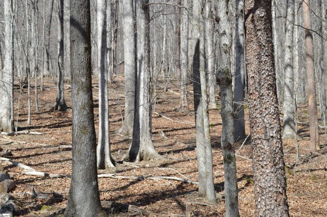 00 Shadow Creek Lane, Columbus, SC 28722