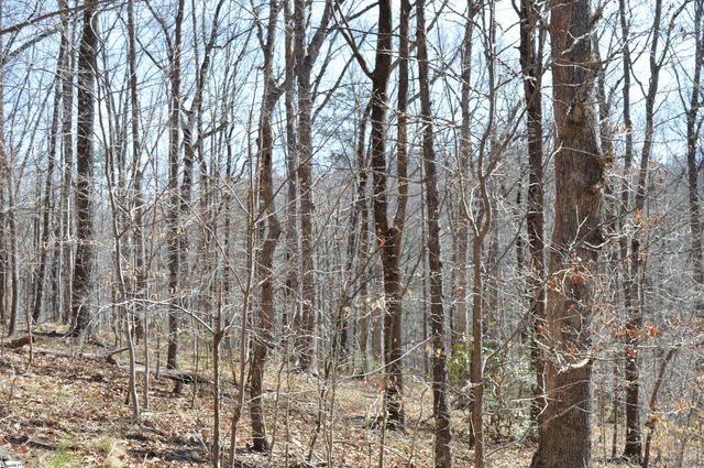 00 Shadow Creek Lane, Columbus, SC 28722