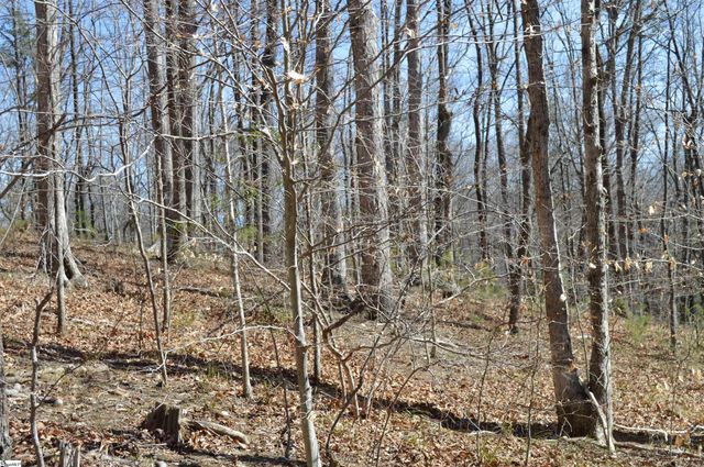 00 Shadow Creek Lane, Columbus, SC 28722