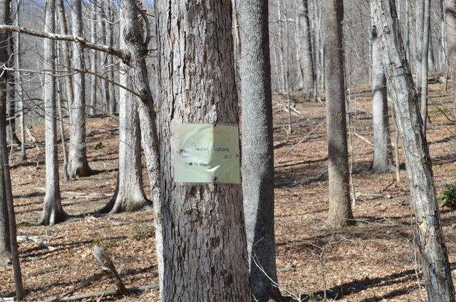 00 Shadow Creek Lane, Columbus, SC 28722