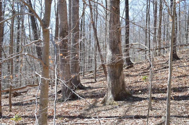 00 Shadow Creek Lane, Columbus, SC 28722