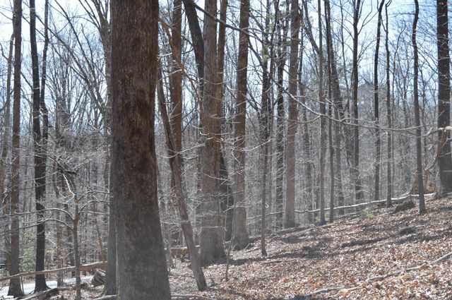 00 Shadow Creek Lane, Columbus, SC 28722