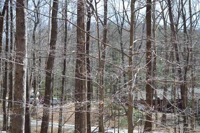 00 Shadow Creek Lane, Columbus, SC 28722