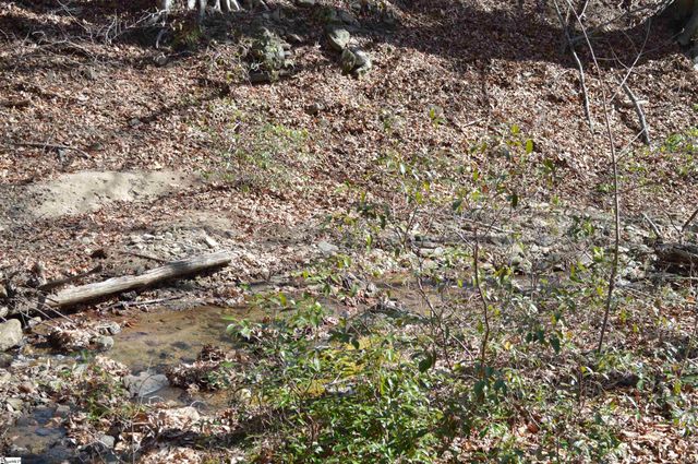 00 Shadow Creek Lane, Columbus, SC 28722