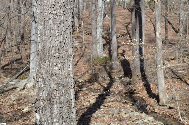 00 Shadow Creek Lane, Columbus, SC 28722