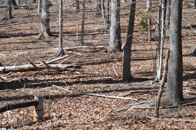 00 Shadow Creek Lane, Columbus, SC 28722