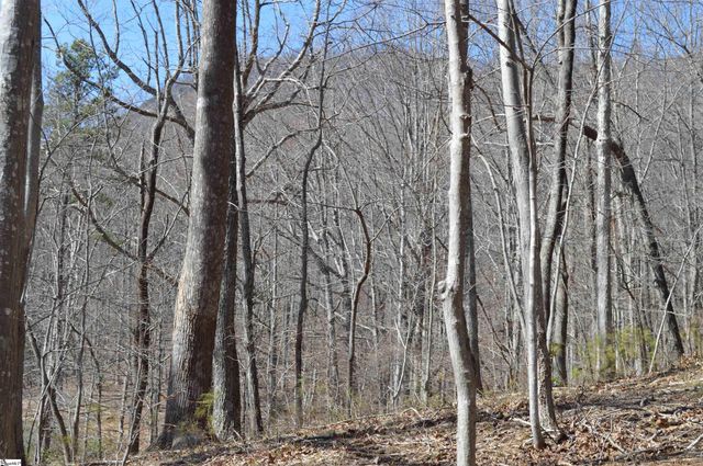 00 Shadow Creek Lane, Columbus, SC 28722