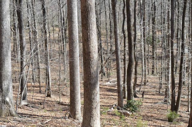 00 Shadow Creek Lane, Columbus, SC 28722