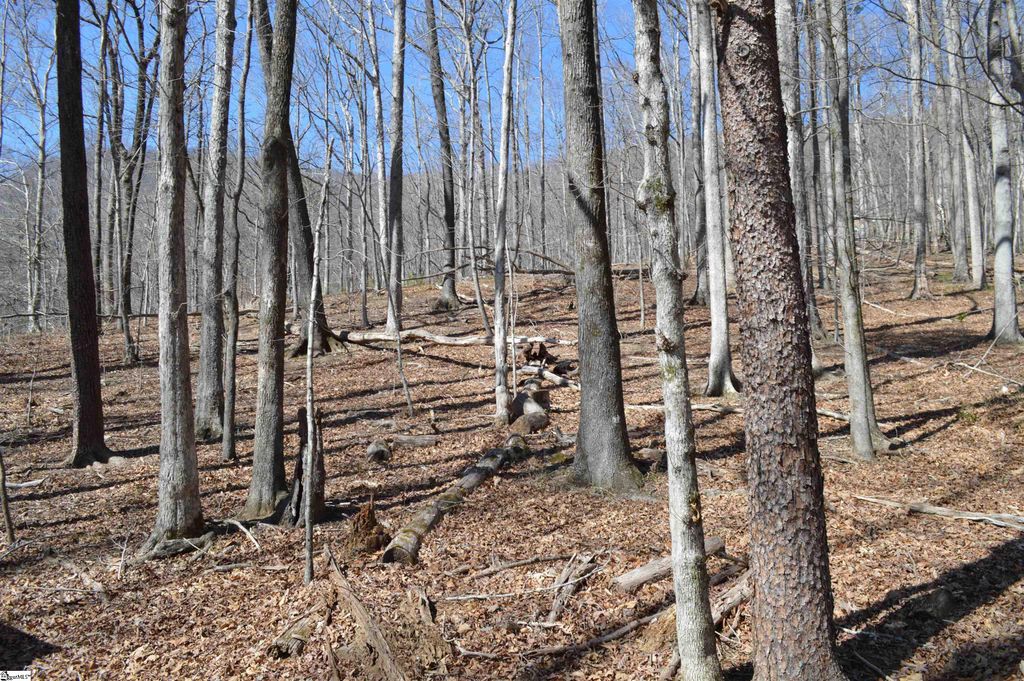 00 Shadow Creek Lane, Columbus, SC 28722