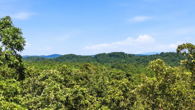 675 S Mcdonald Road SW, Mcdonald, TN 37353