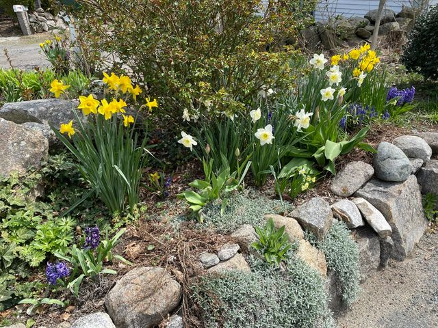 17 Highland Street 1, Rockport, MA 01966