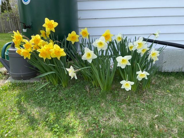 17 Highland Street 1, Rockport, MA 01966