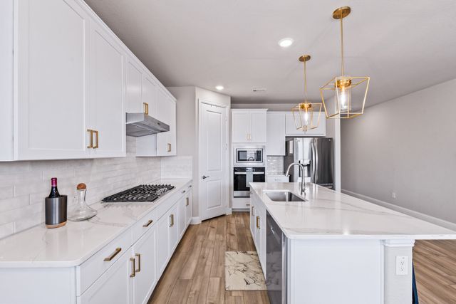 2517 Amistad Lane, Corinth, TX 76210