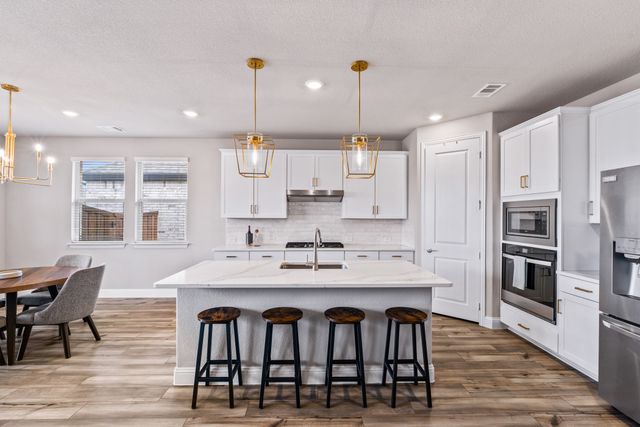 2517 Amistad Lane, Corinth, TX 76210