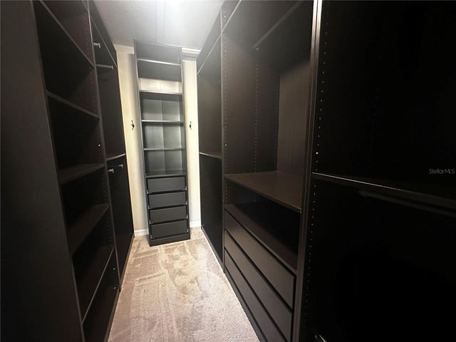 6911 WOODCHASE GLEN DRIVE, Riverview, FL 33578