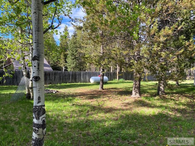 4175 S Big Springs Loop Road, Island Park, ID 83429