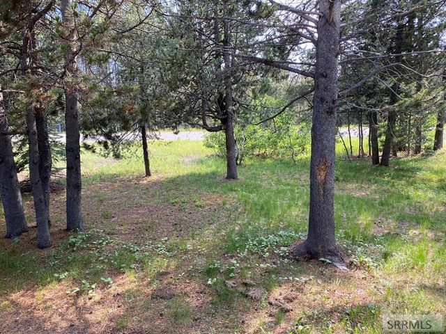 4175 S Big Springs Loop Road, Island Park, ID 83429