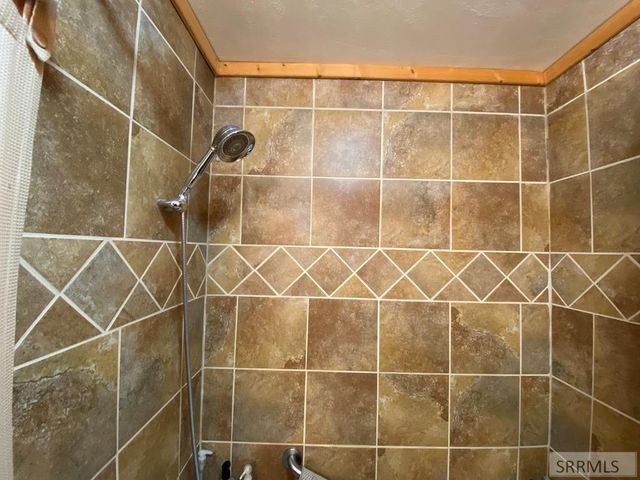 4175 S Big Springs Loop Road, Island Park, ID 83429