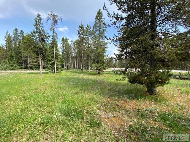 4175 S Big Springs Loop Road, Island Park, ID 83429