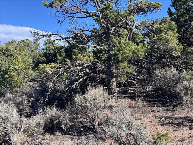 3292 Geneen Rd, Fort Garland, CO 81133