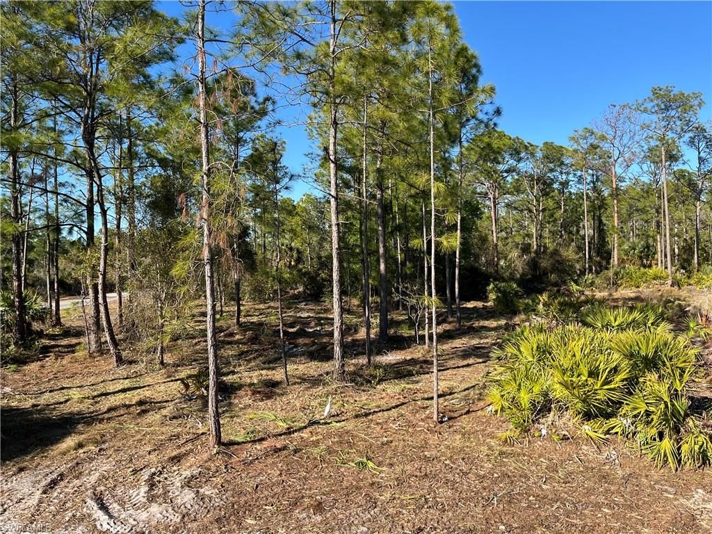 314 Spokane AVE, LEHIGH ACRES, FL 33972 — photo 2