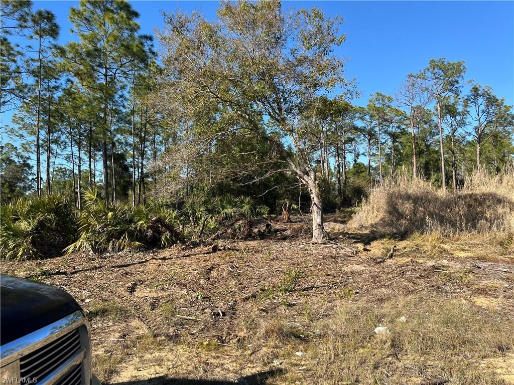 314 Spokane AVE, LEHIGH ACRES, FL 33972 — photo 3