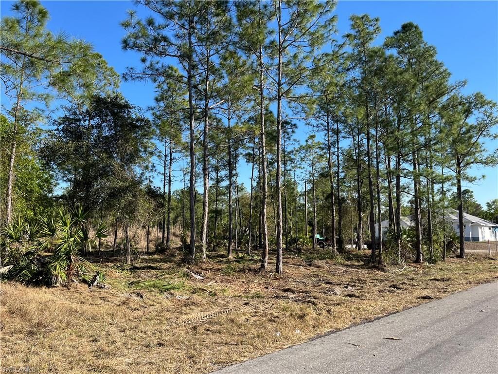 314 Spokane AVE, LEHIGH ACRES, FL 33972 — photo 4