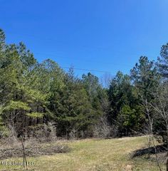 Tate Marshall Rd Road, Byhalia, MS 38611