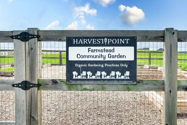 3017 Shandor St, Spring Hill, TN 37174