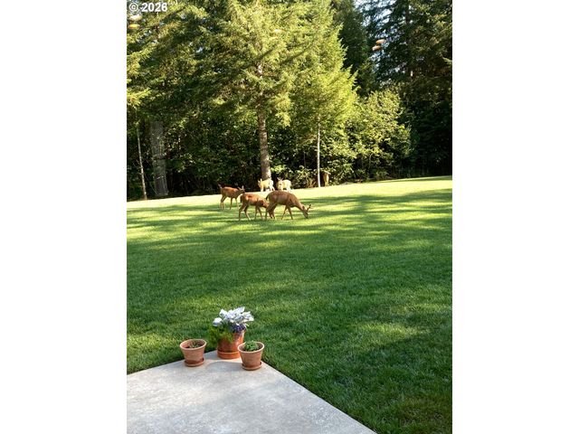24315 Ne DOLE VALLEY Rd, Yacolt, WA 98675