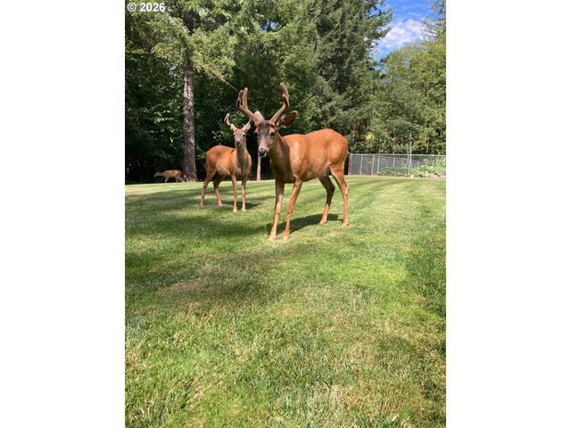24315 Ne DOLE VALLEY Rd, Yacolt, WA 98675