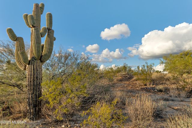 10845 N Summer Moon Place, Tucson, AZ 85737