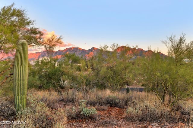 10845 N Summer Moon Place, Tucson, AZ 85737