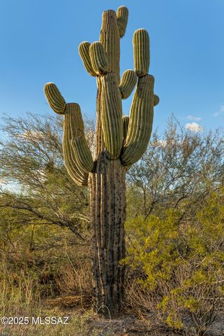 10845 N Summer Moon Place, Tucson, AZ 85737