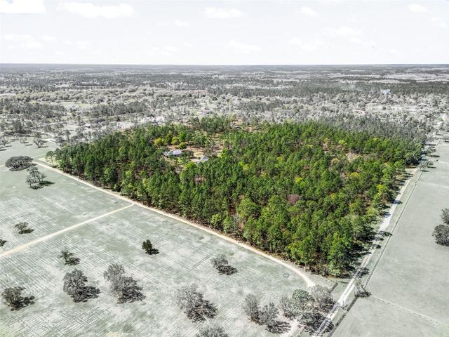 11370 SE 12TH LANE, Morriston, FL 32668