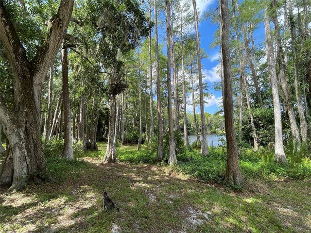 8270 SYCAMORE DRIVE, New Port Richey, FL 34654