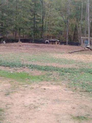 6006 SMOKEY Road, Athens, GA 30601